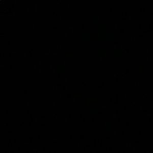 Meet your Posher, Harleah